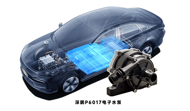 探秘電動汽車水泵：種類、應(yīng)用與原理全知曉